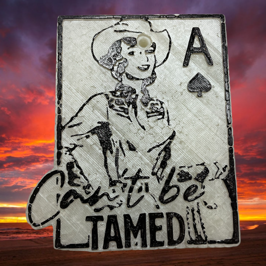 Can’t Be Tamed: Car Freshie painted feather