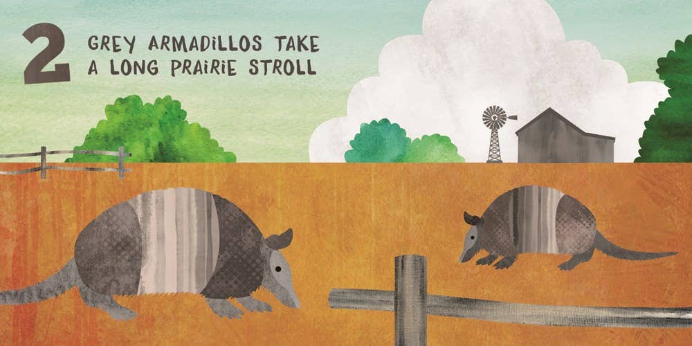 Let's Count Texas - Kids Book Familius