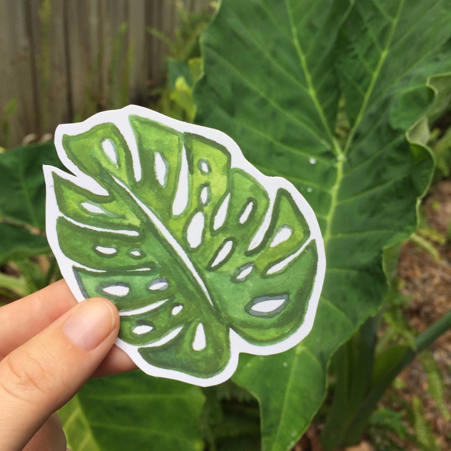 Monstera Leaf Sticker / Monstera Sticker / Plant sticker