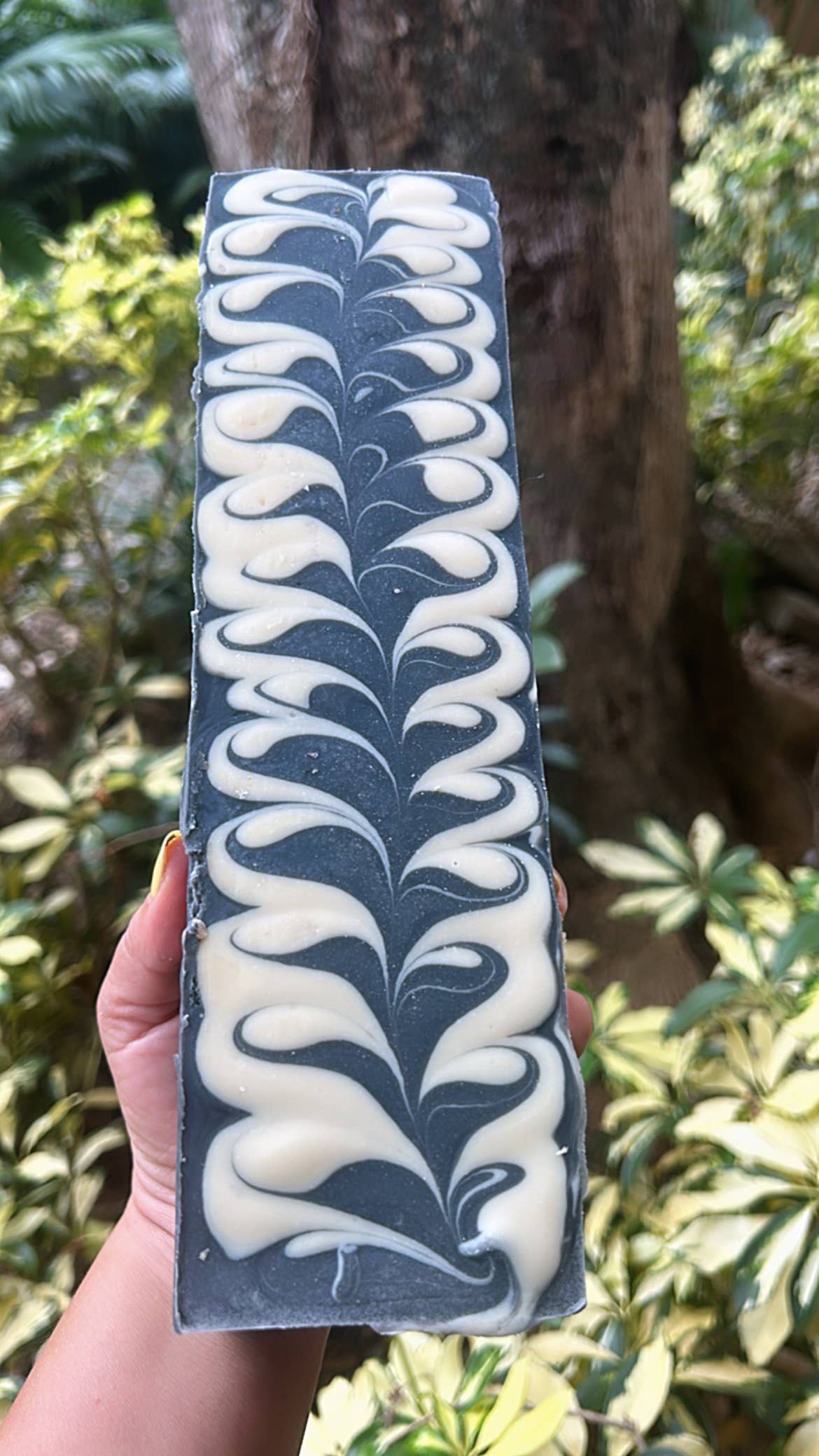 CHARCOAL + TEA TREE | FACE SOAP