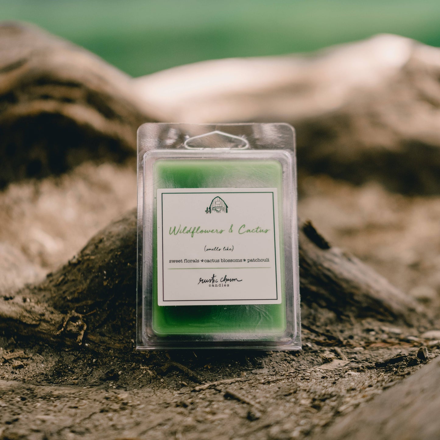 Wildflowers and Cactus Wax Melt Rustic charm