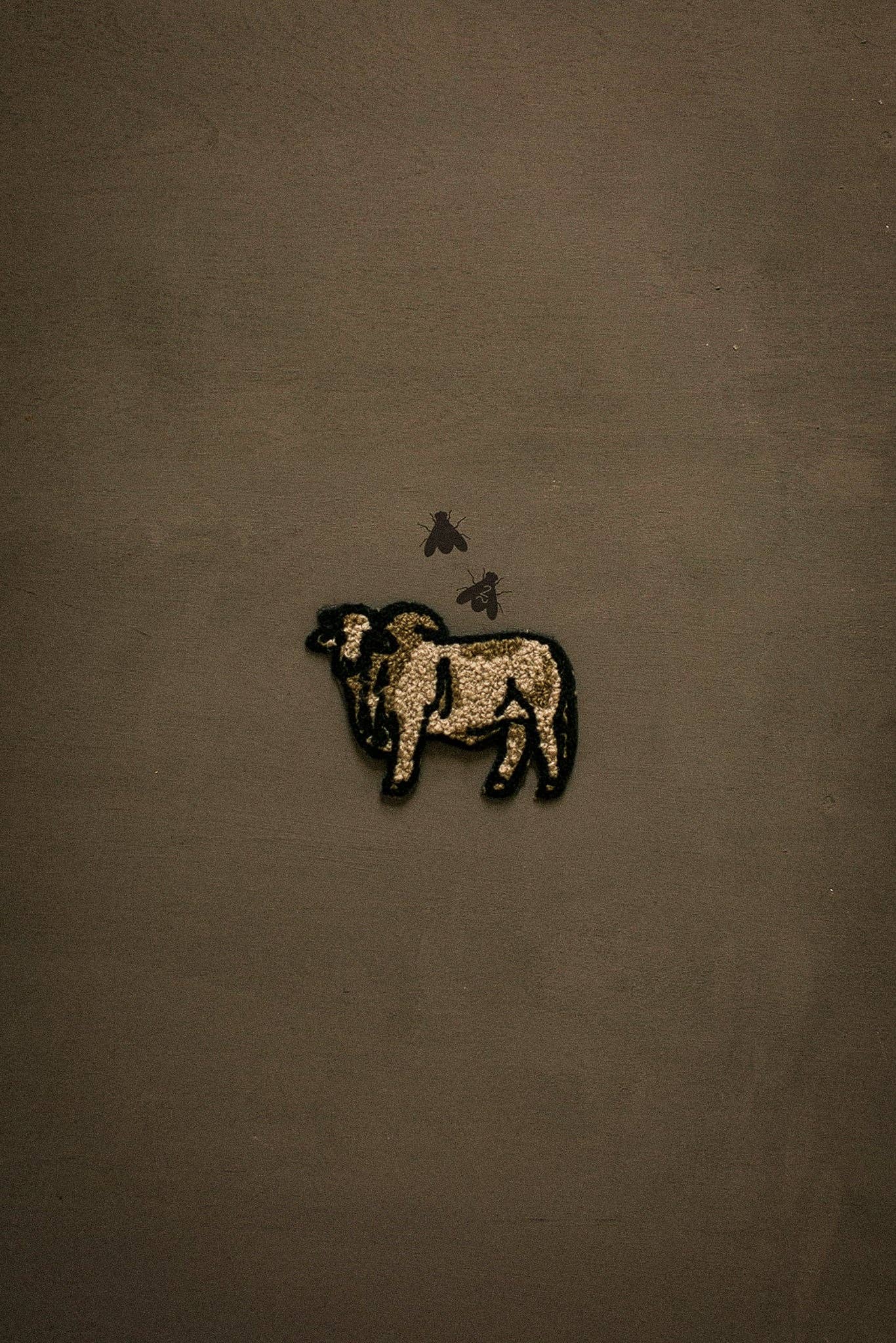 2 FLY DIY PATCH *brahma: LARGE
