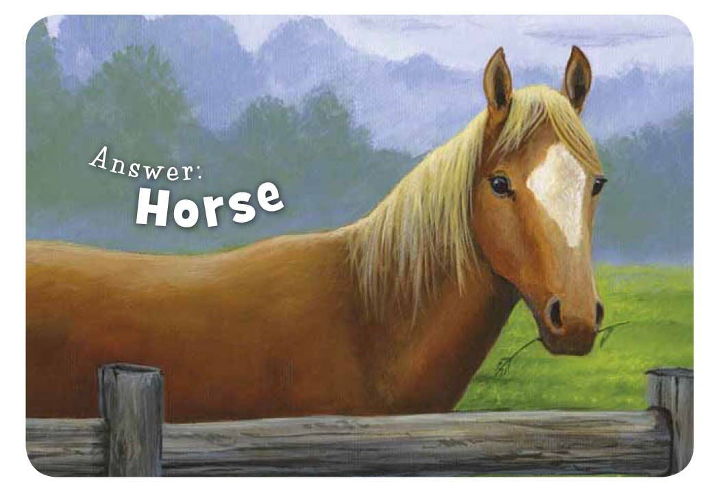Little Texas Toddler Board Book Sleeping Bear P