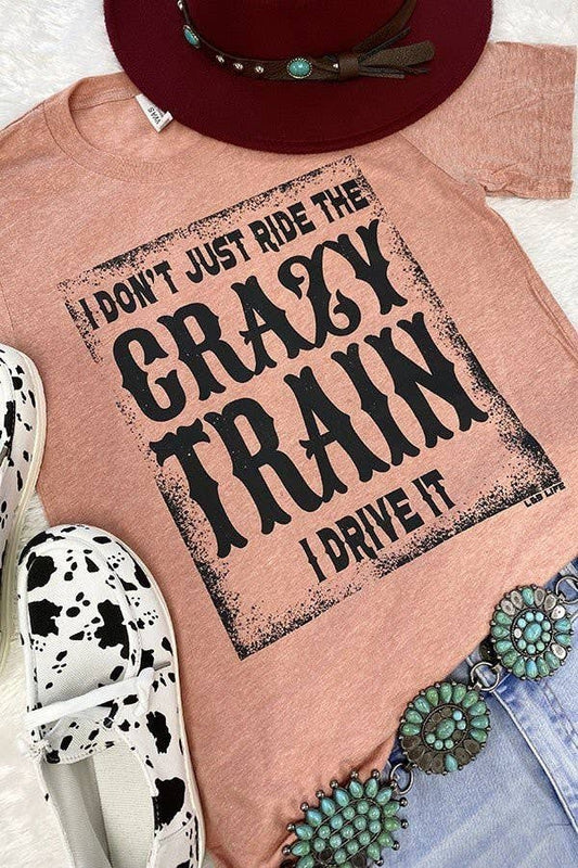 BC I Dont Just Ride Train, Trendy, Funny  Graphic Tshirt: Heather Sunset L&B