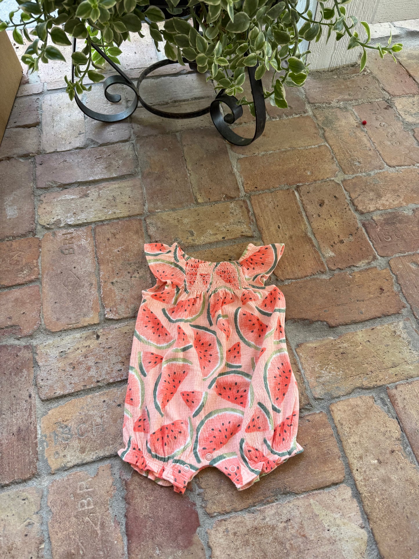 Watermelon Print soft Ruffle Sleeve Carters Romper