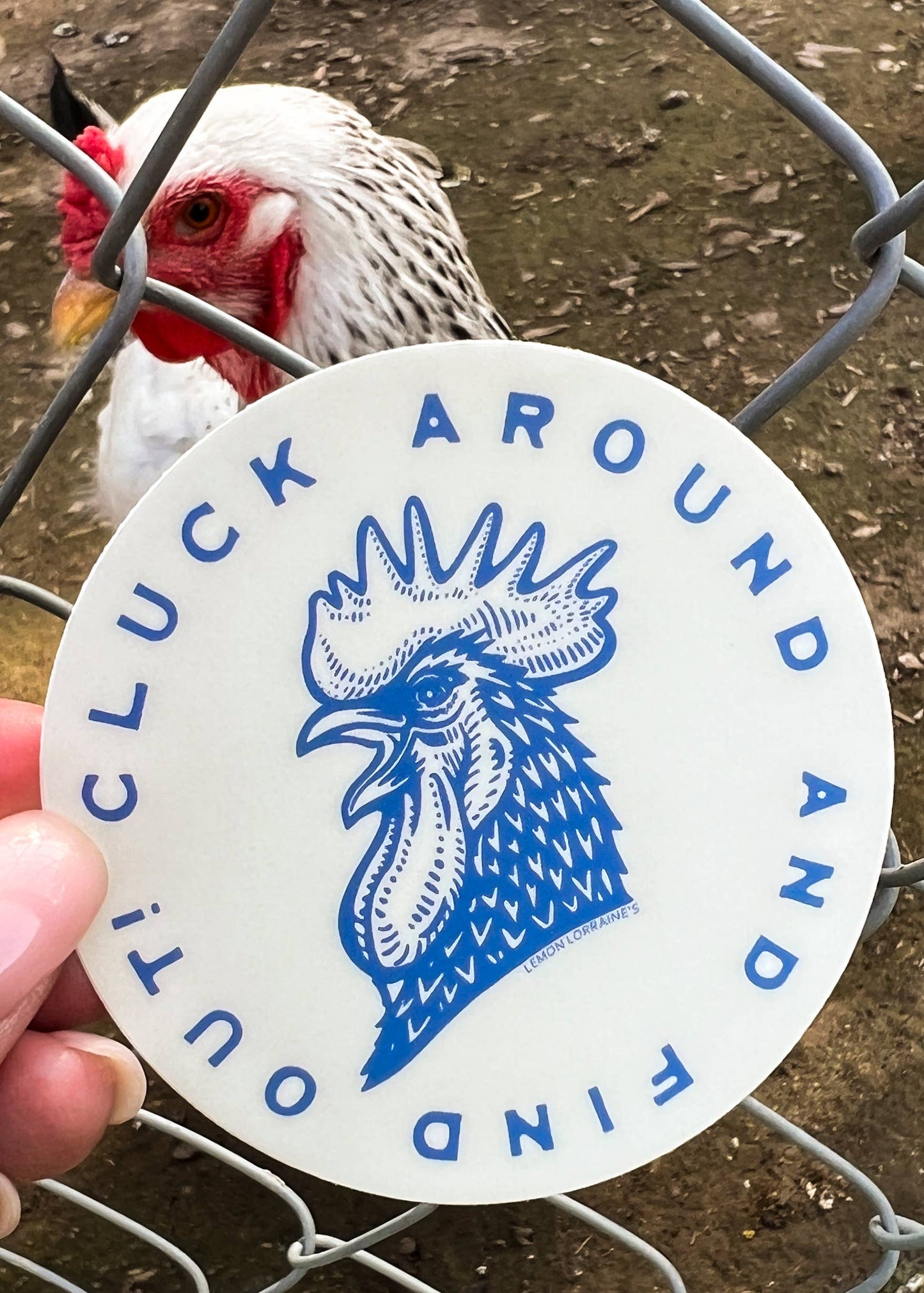 CLUCK AROUND & FIND OUT Sticker Decal