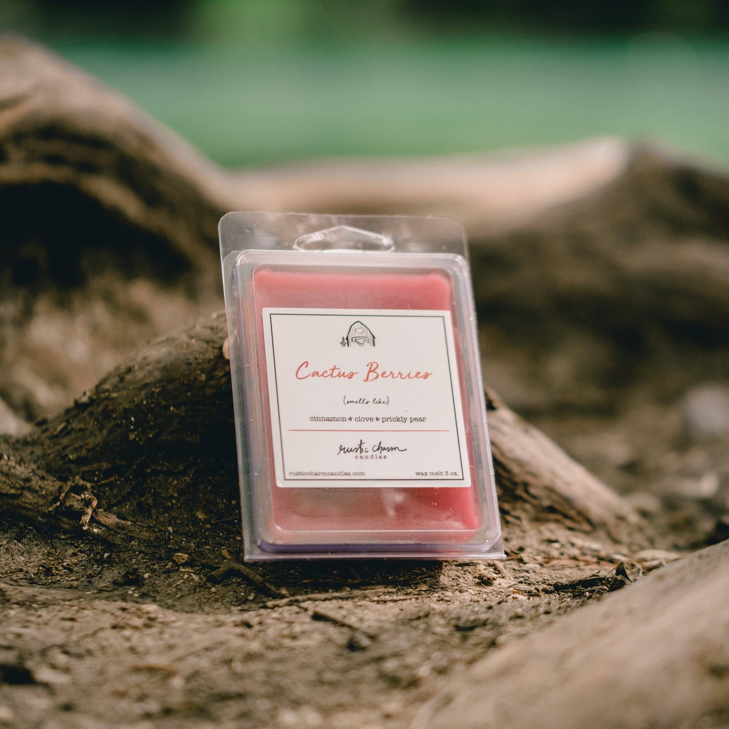 Cactus Berries Wax Melt Rustic Charm