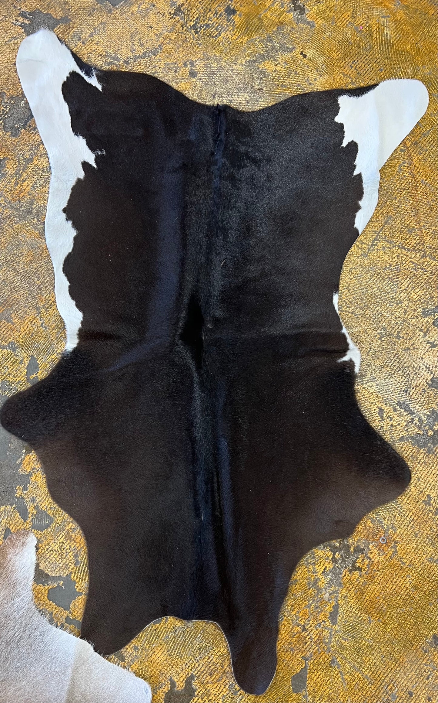 Calf Hide Rugs Hides and Skins