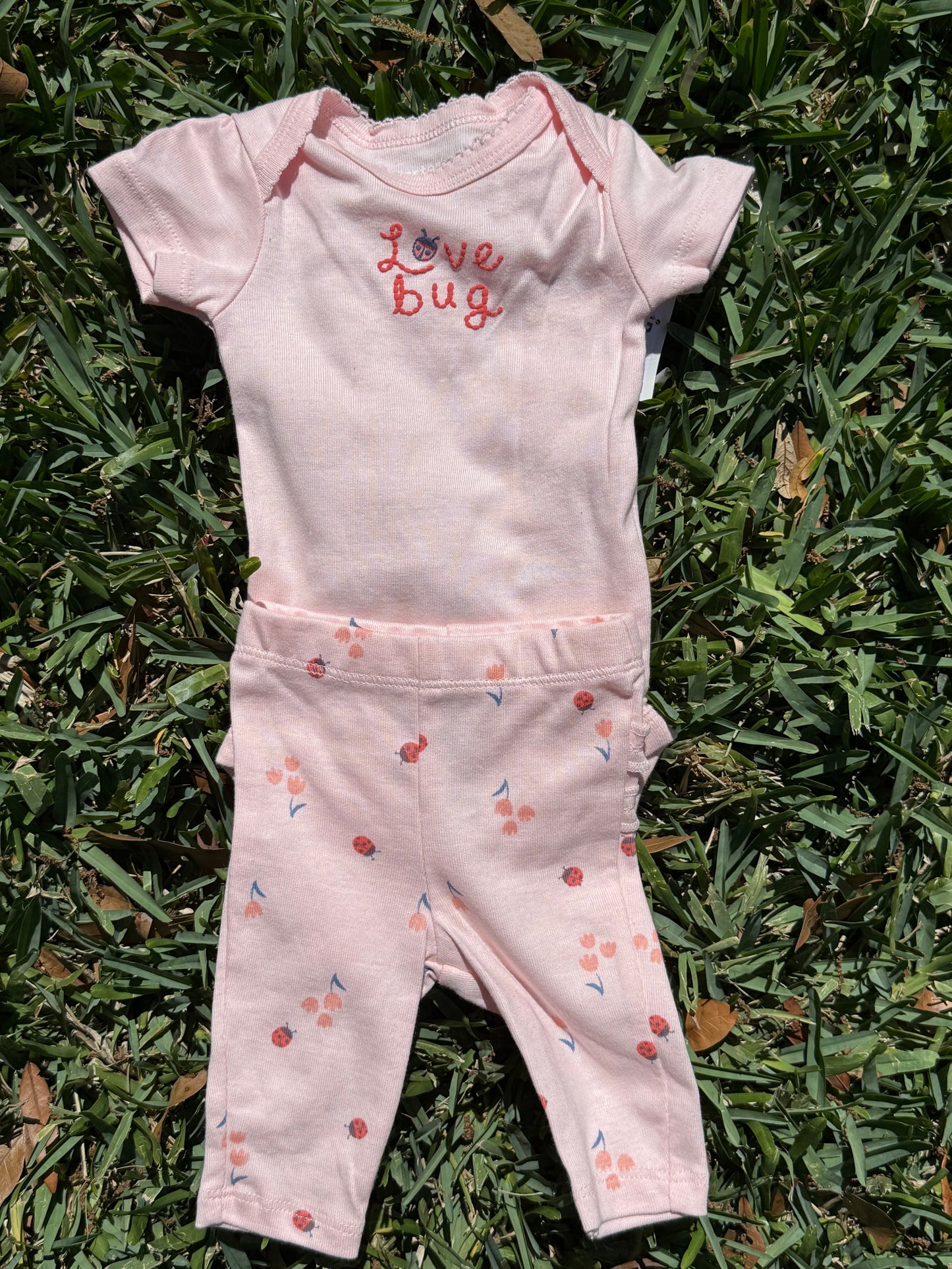 Love Bug Carters Two Piece onesie and Ruffle Bottom pants outfit