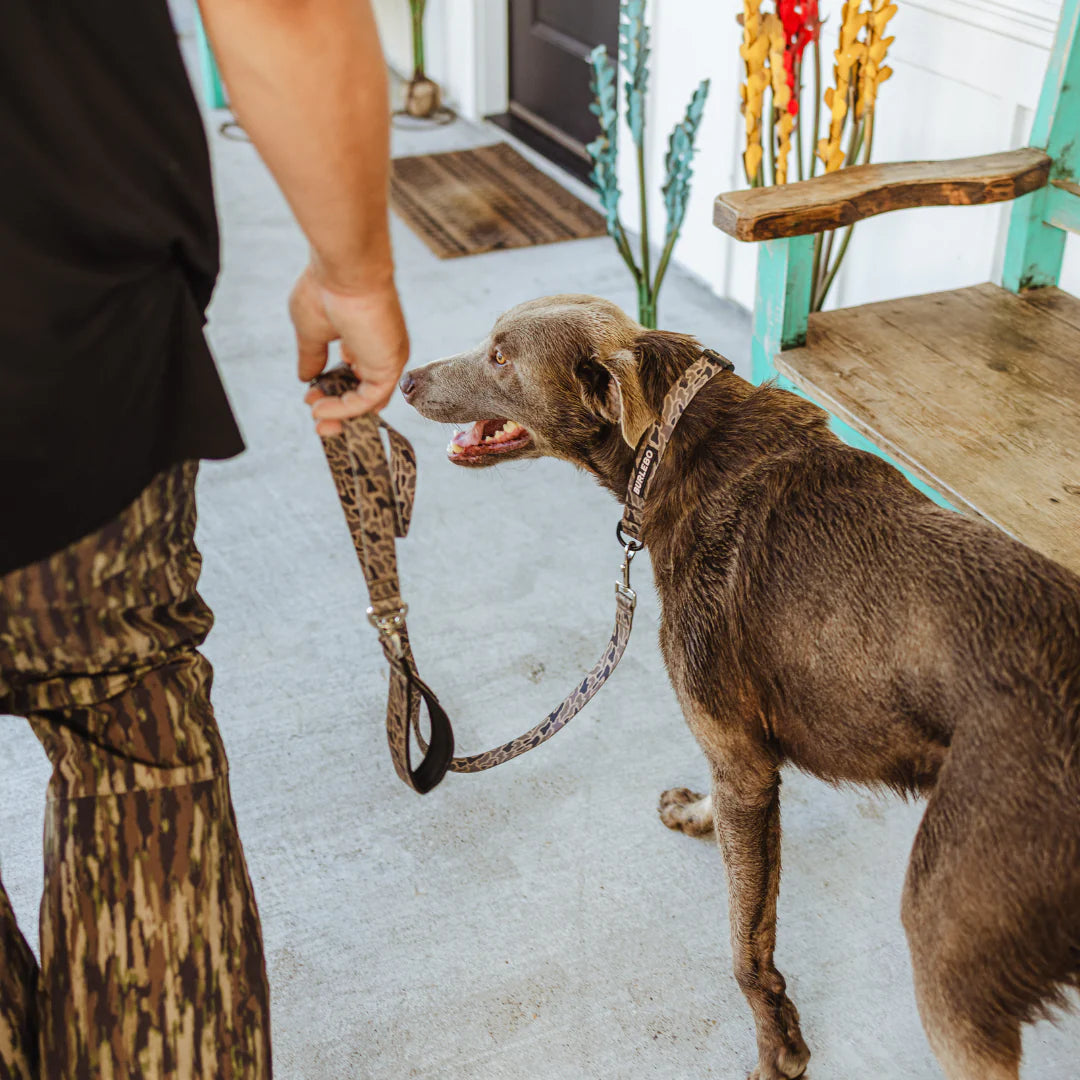 Burlebo Camo Dog Leash Tx/ Fl