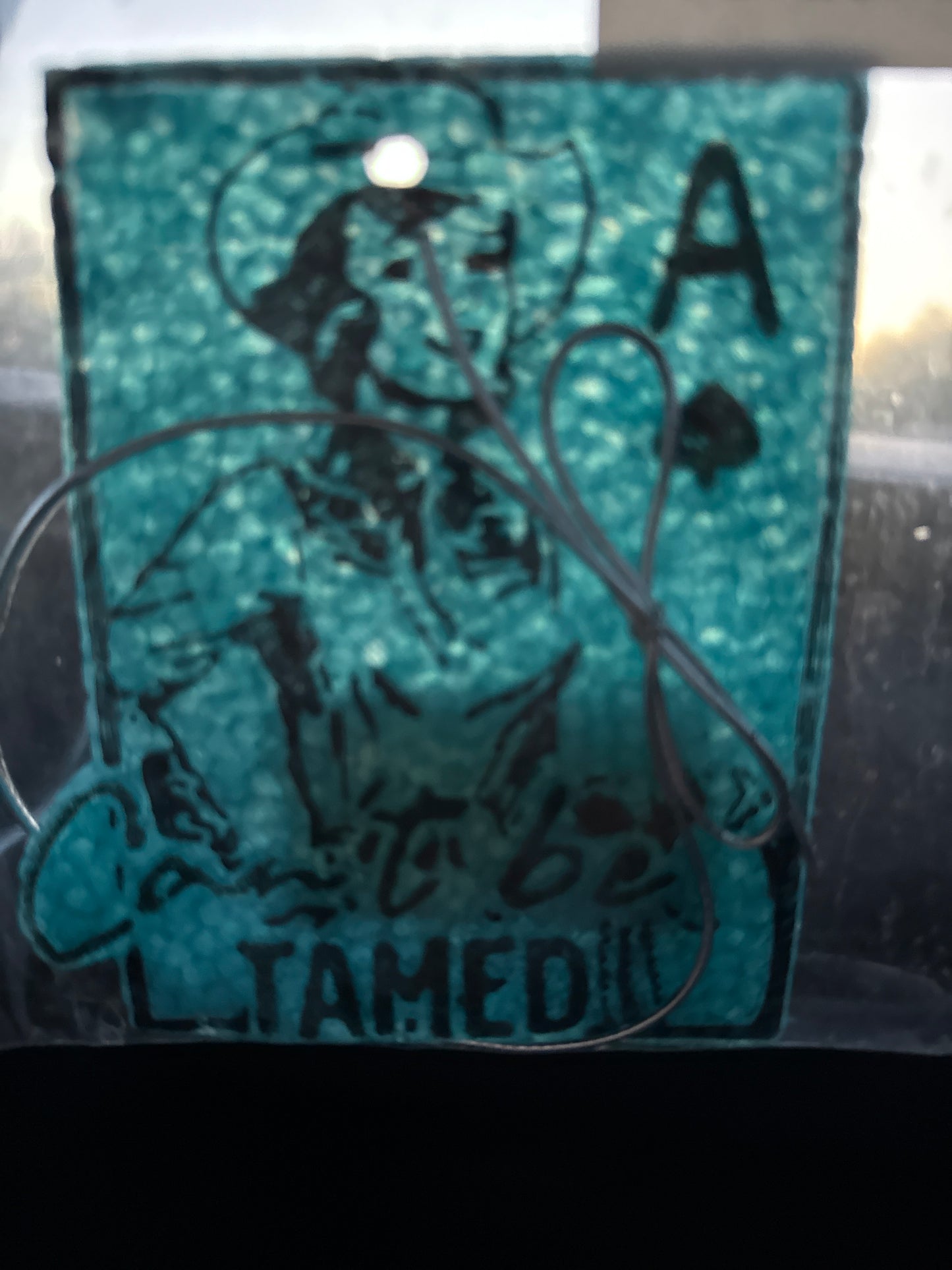 Can’t Be Tamed: Car Freshie painted feather