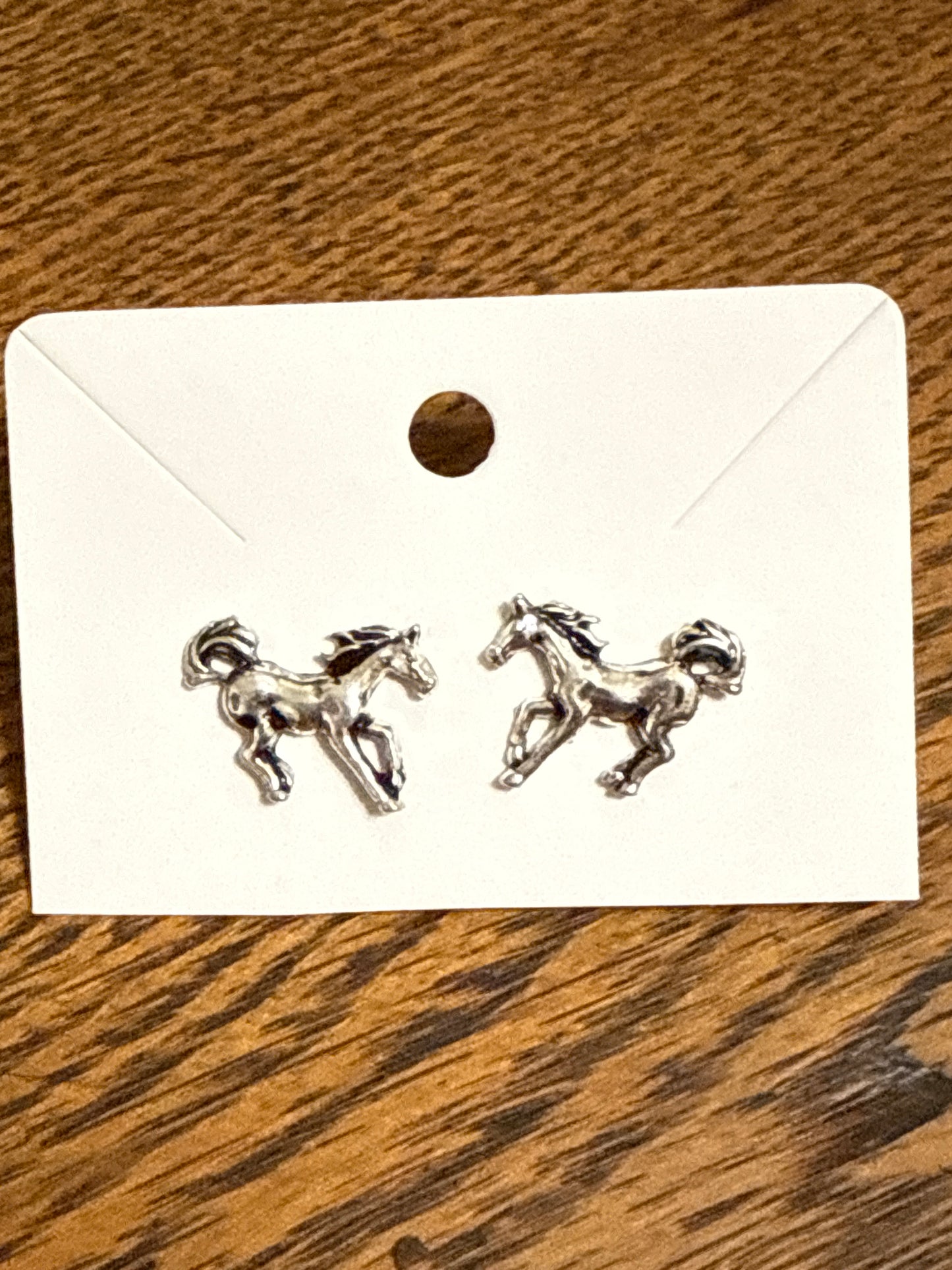 Western Stud Earrings