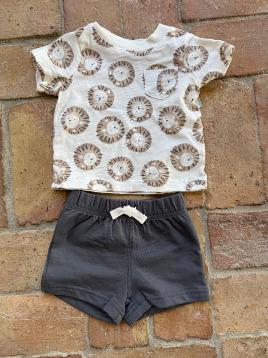 Two Piece Carters boys shorts set