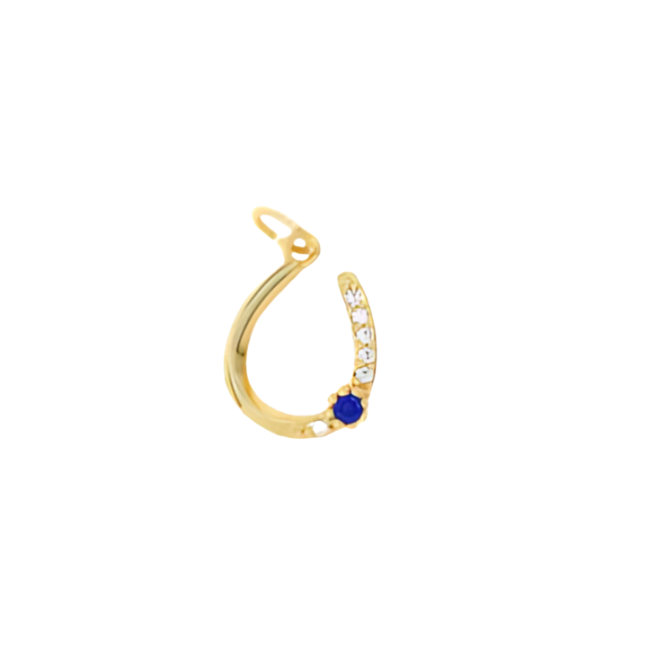 Lucky Charm Horseshoe ~ Blue Gem ~ Deep South Originals