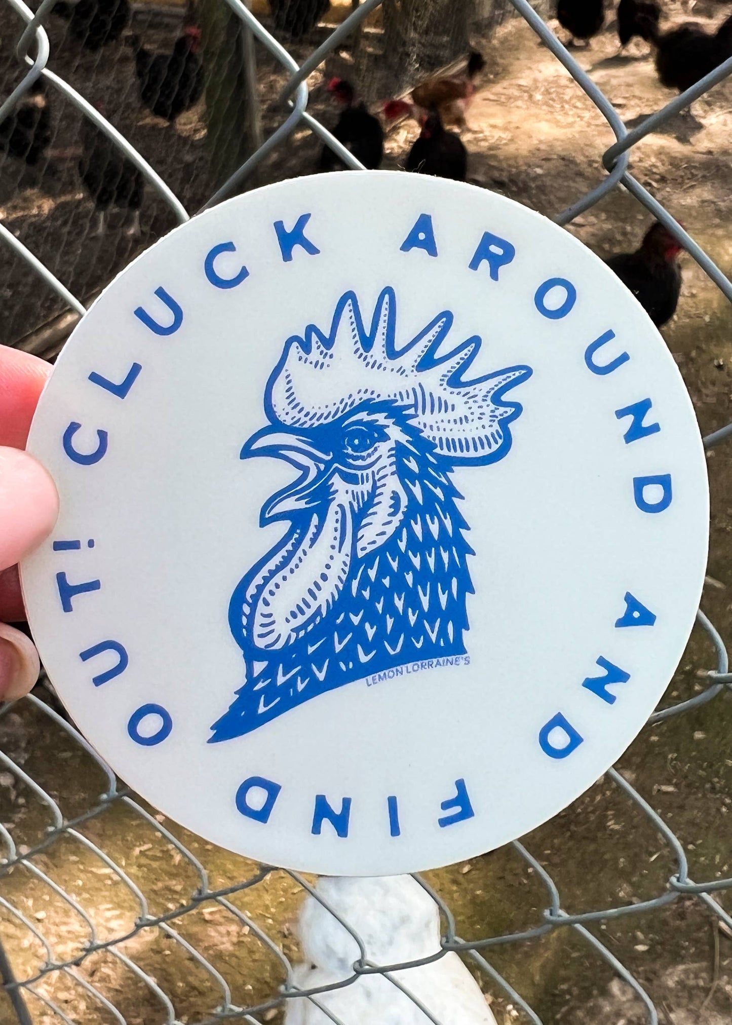 CLUCK AROUND & FIND OUT Sticker Decal