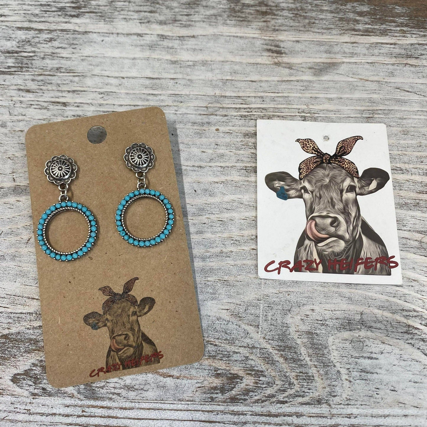 CHW Circle Dangle Stud Earrings