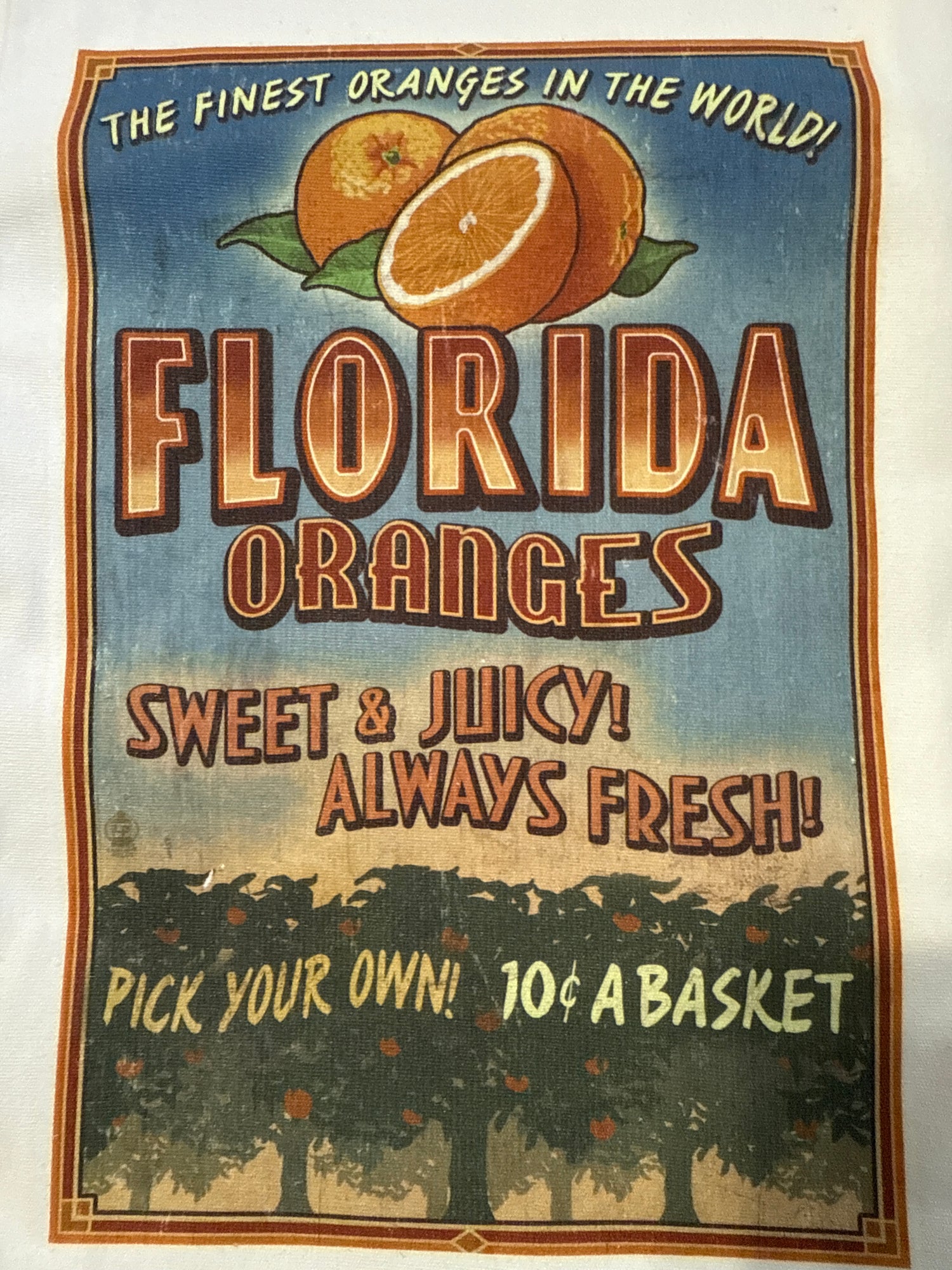 All Things Florida