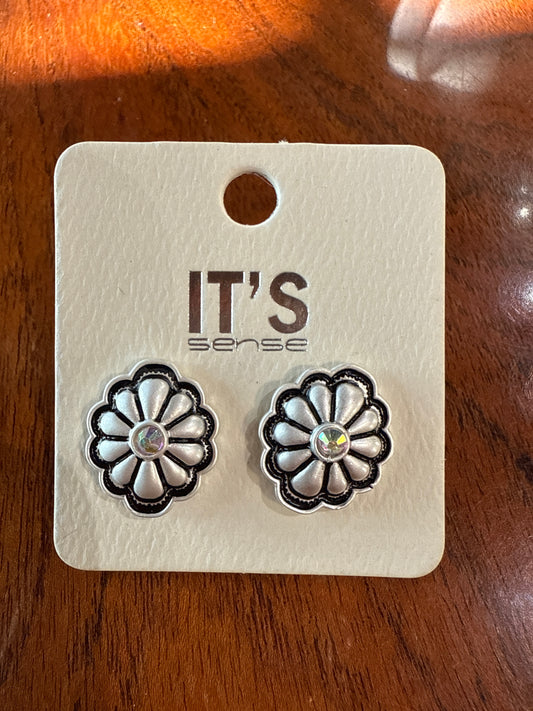 Silver and Black Oval earrings