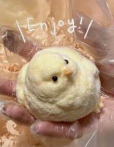Baby Chick Squishy Toy