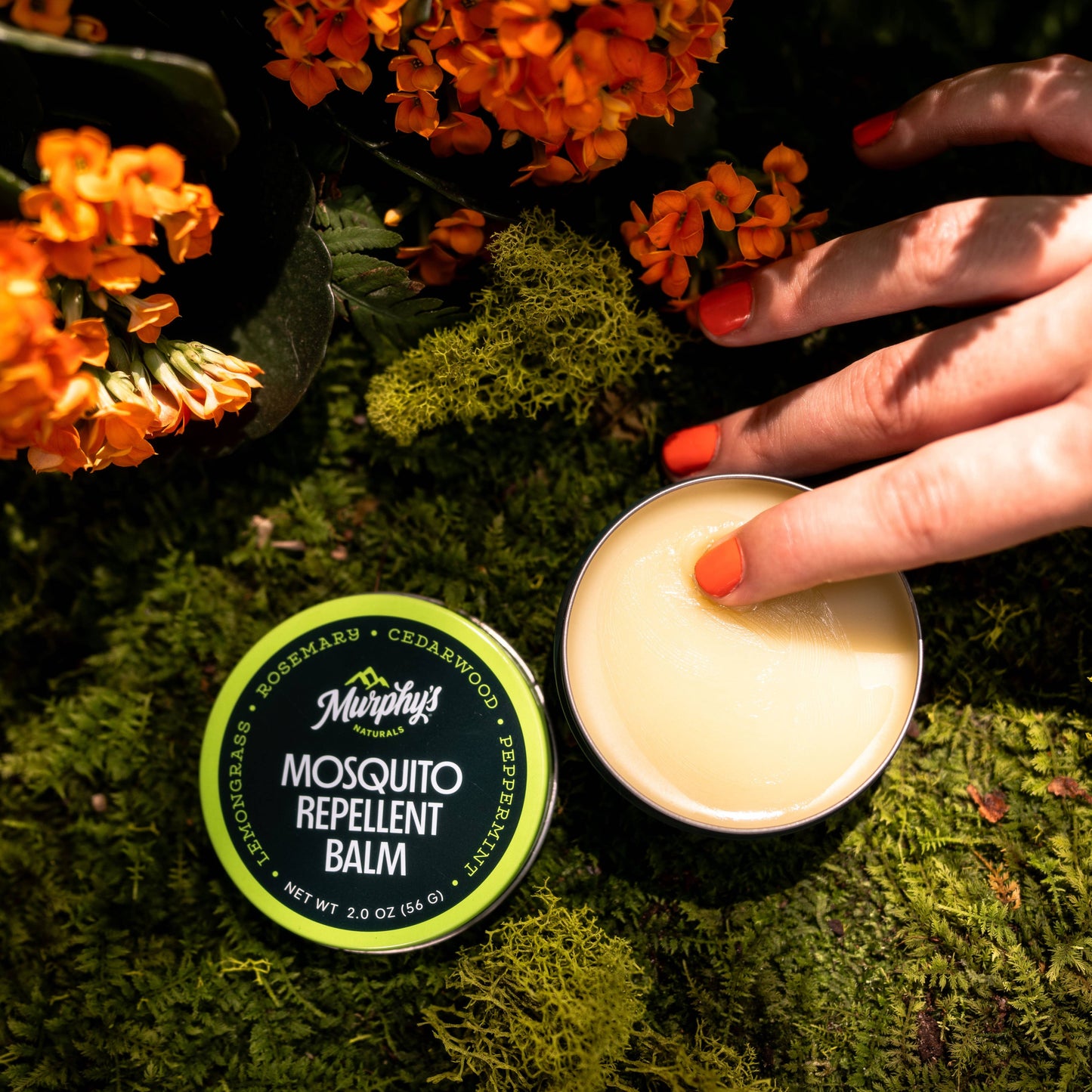 Mosquito Repellent Balm Tins (2oz) - Display of 12