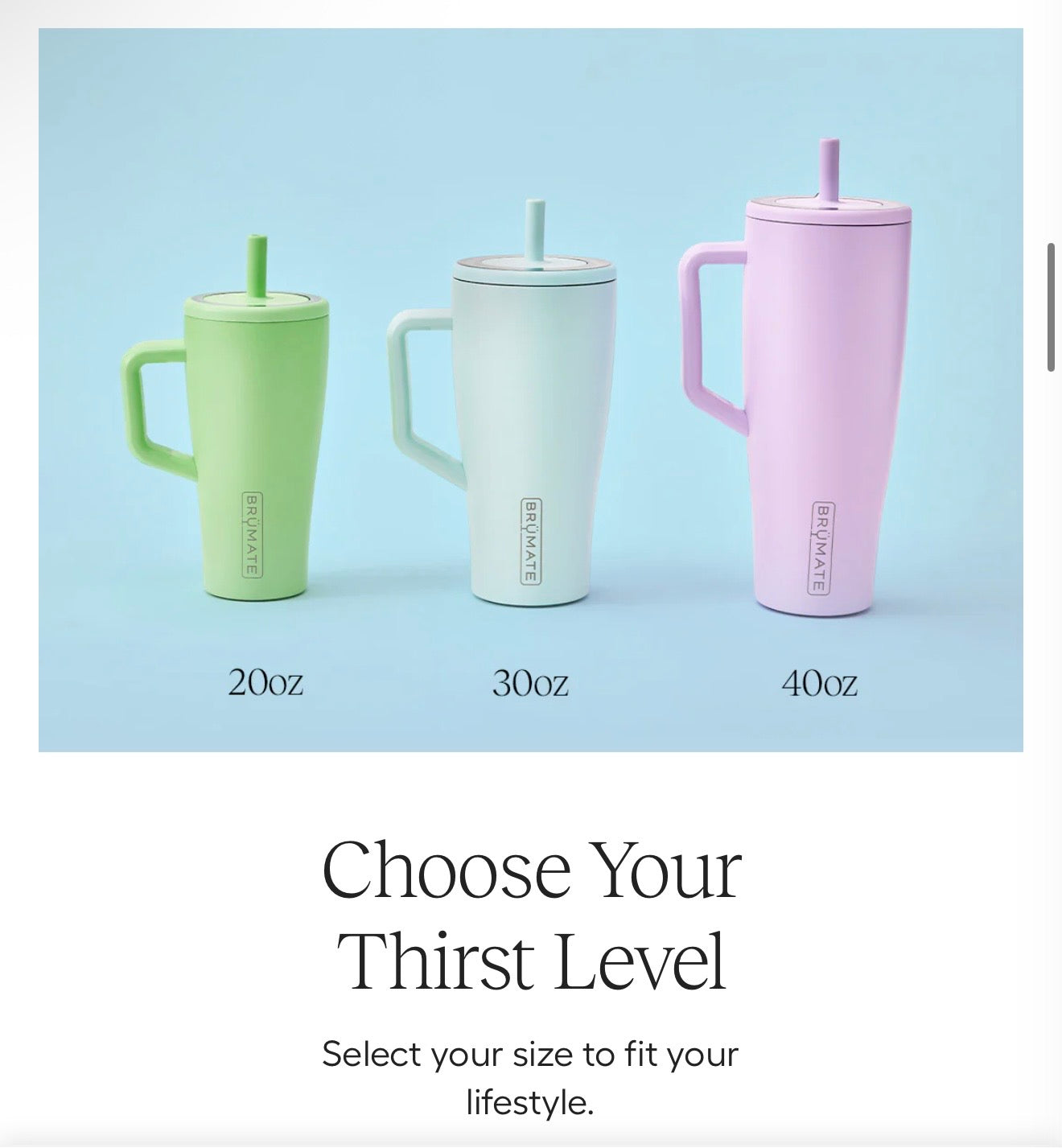 Brumate 20 Oz Era Tumbler Leakproof with Lid