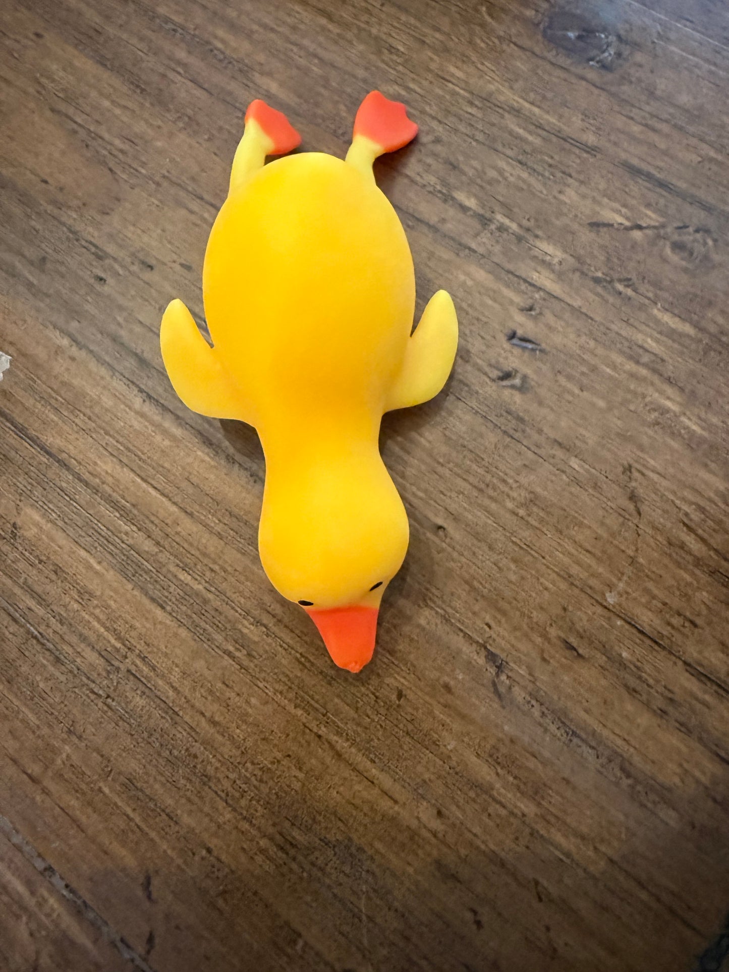 Squishy Duck Toy
