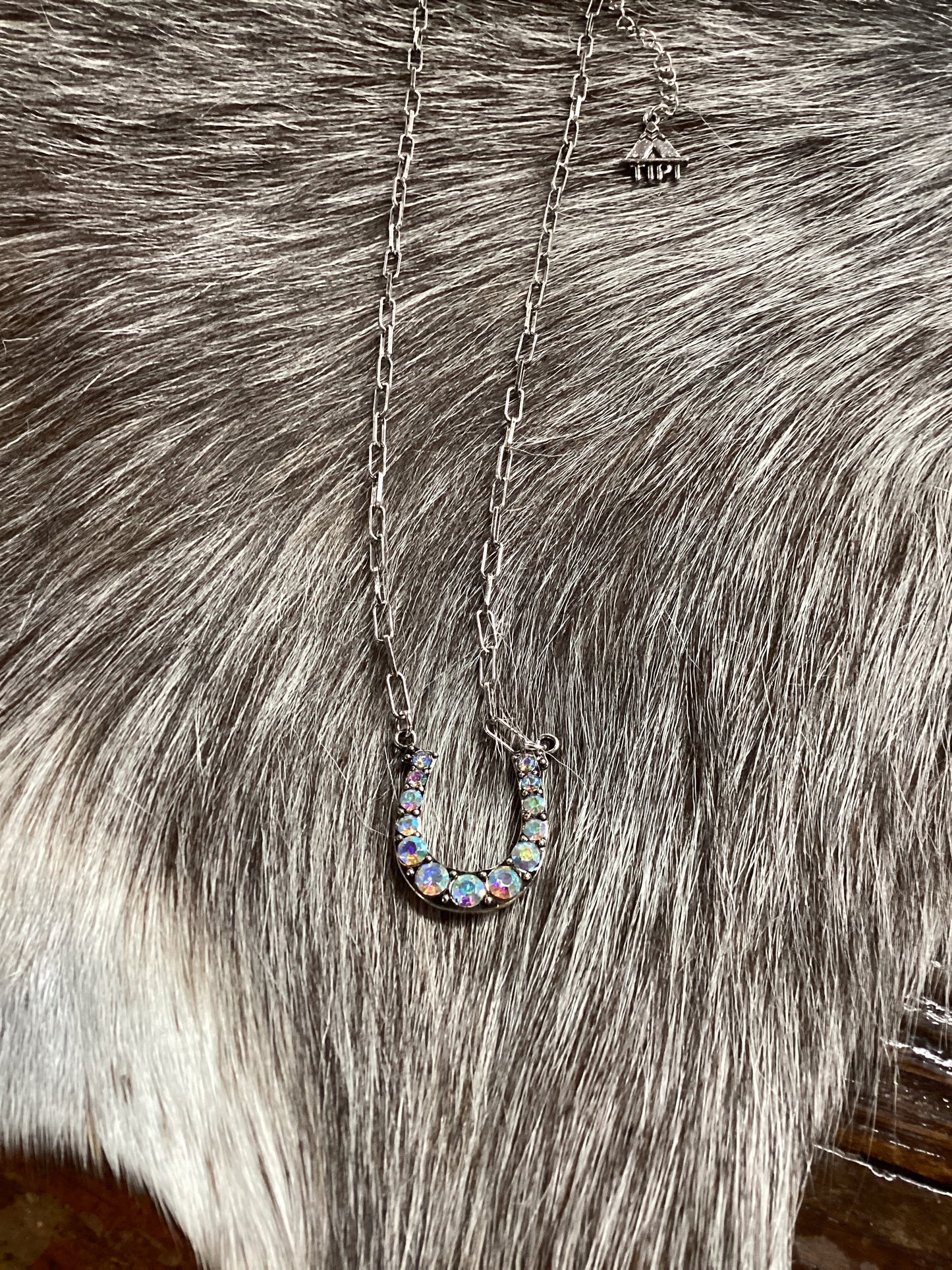 Iridescent Rhinestone Horseshoe TIPI Earrings