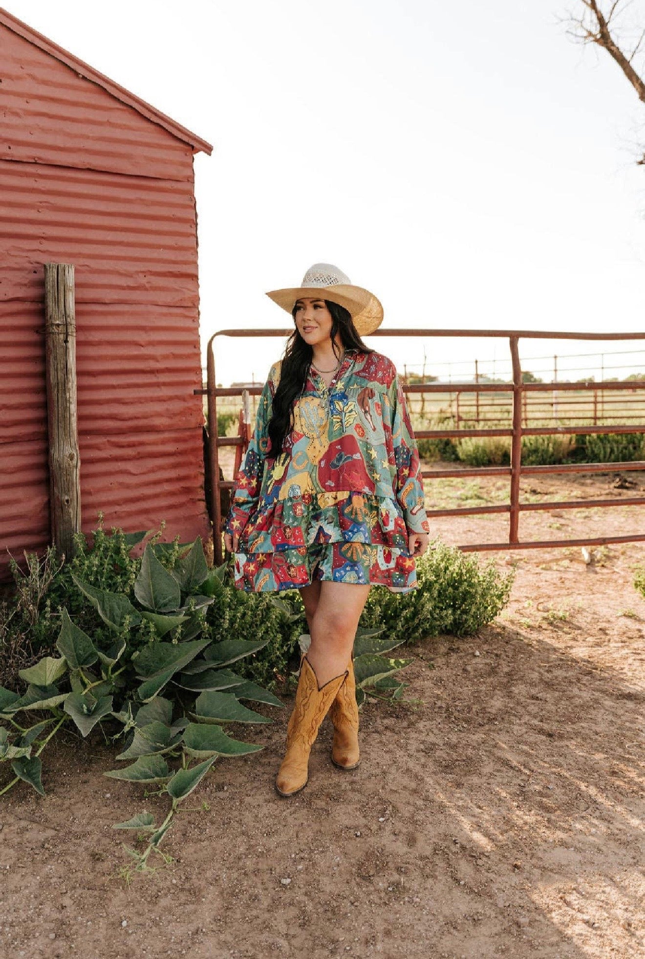 Cowboy Satin Western Dress TH