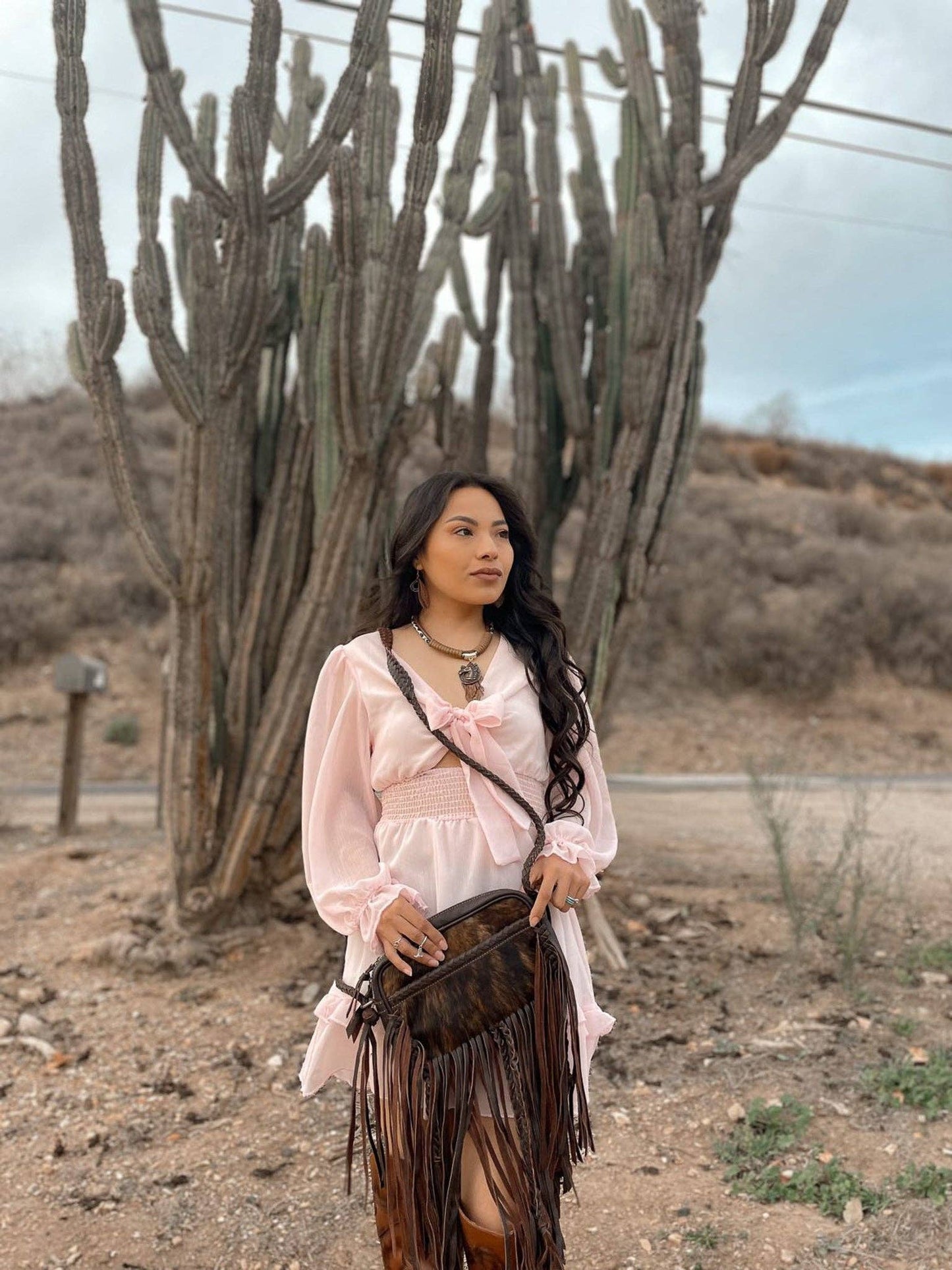 The Jolene Cowhide Purse in Brown Haught