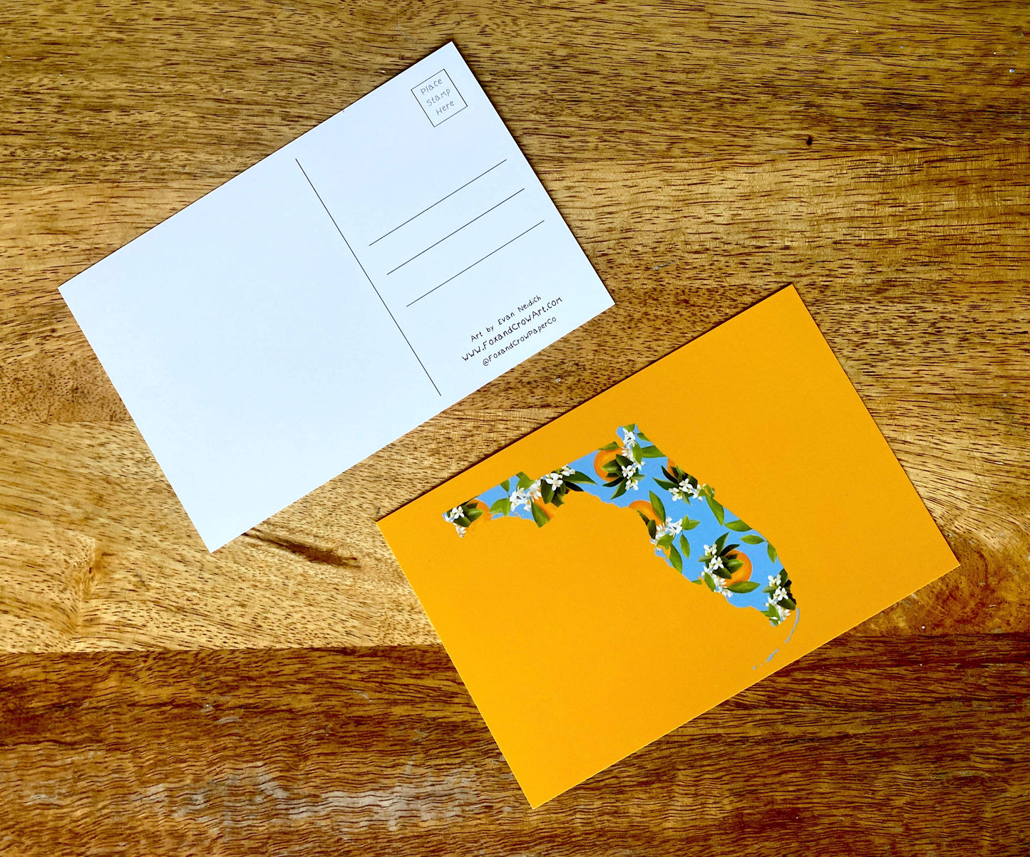 Florida Postcard Pack *  Whimsical FL Postcard * Mail Art