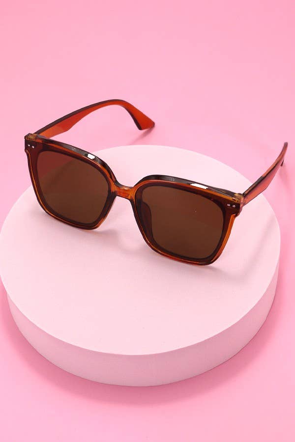 ACETATE SQUARE CATEYE SUNGLASSES SET | 40SG813-12 Pack: Assorted