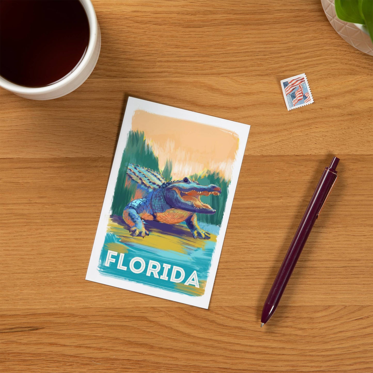 PREMIUM POSTCARDS Florida, Alligator, Vivid