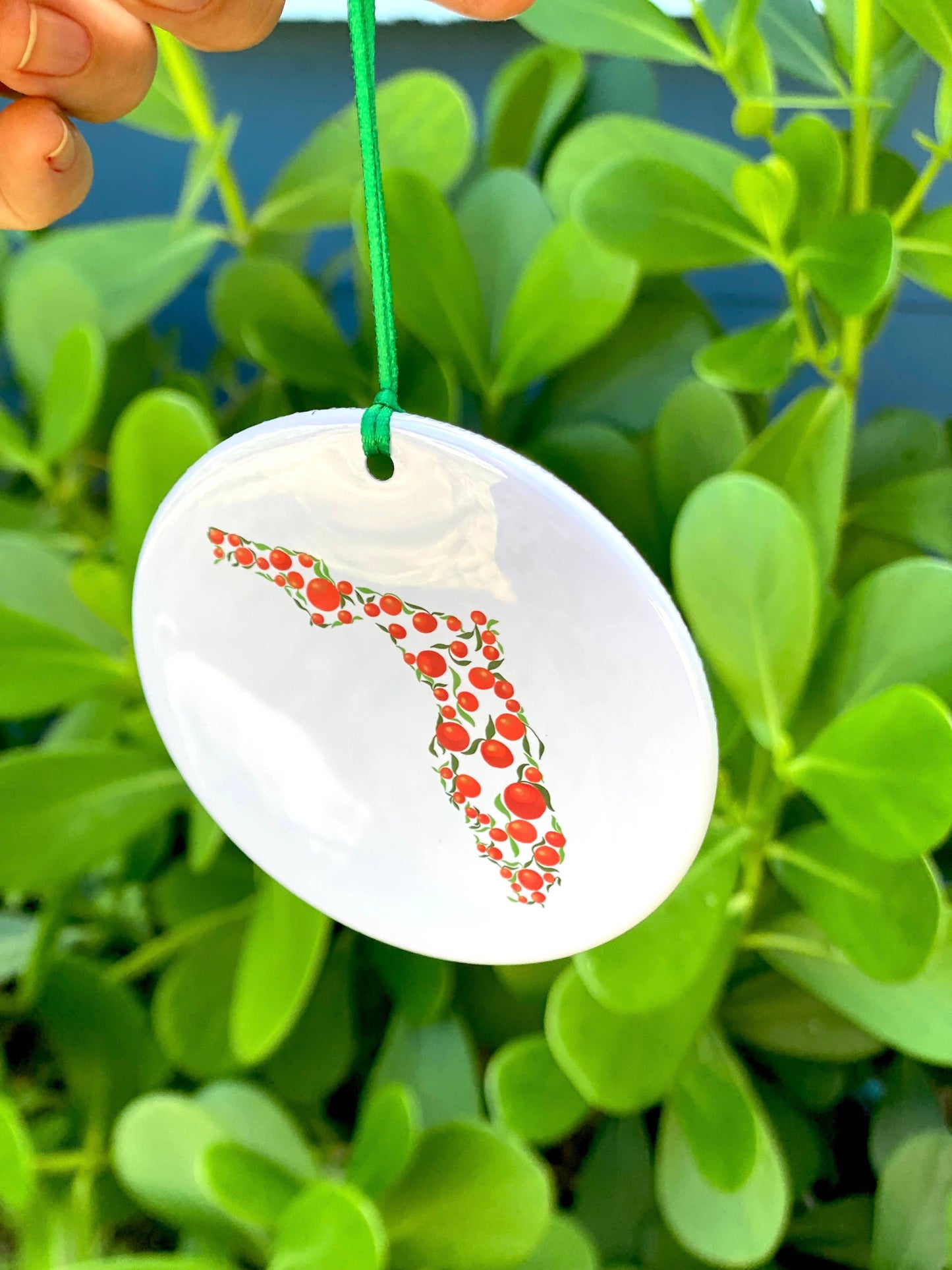 Florida Ornament / Ornament / Christmas Ornament Fox crow