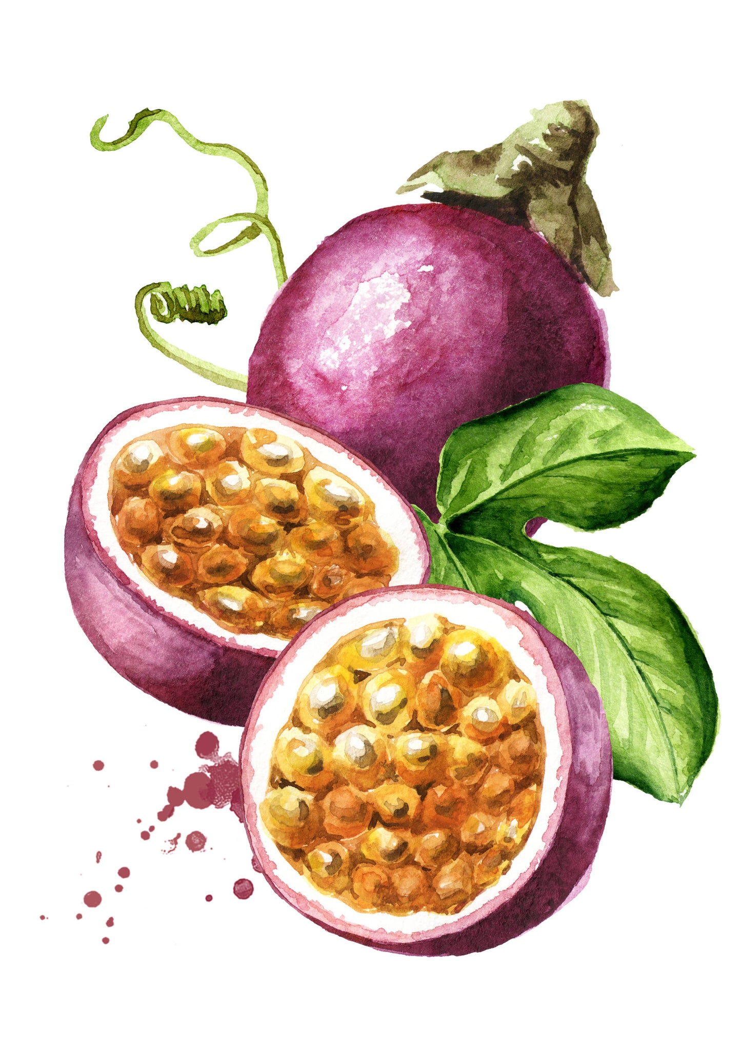 Prickly Pear Orchard Buds -7.3 oz in Mason Jar