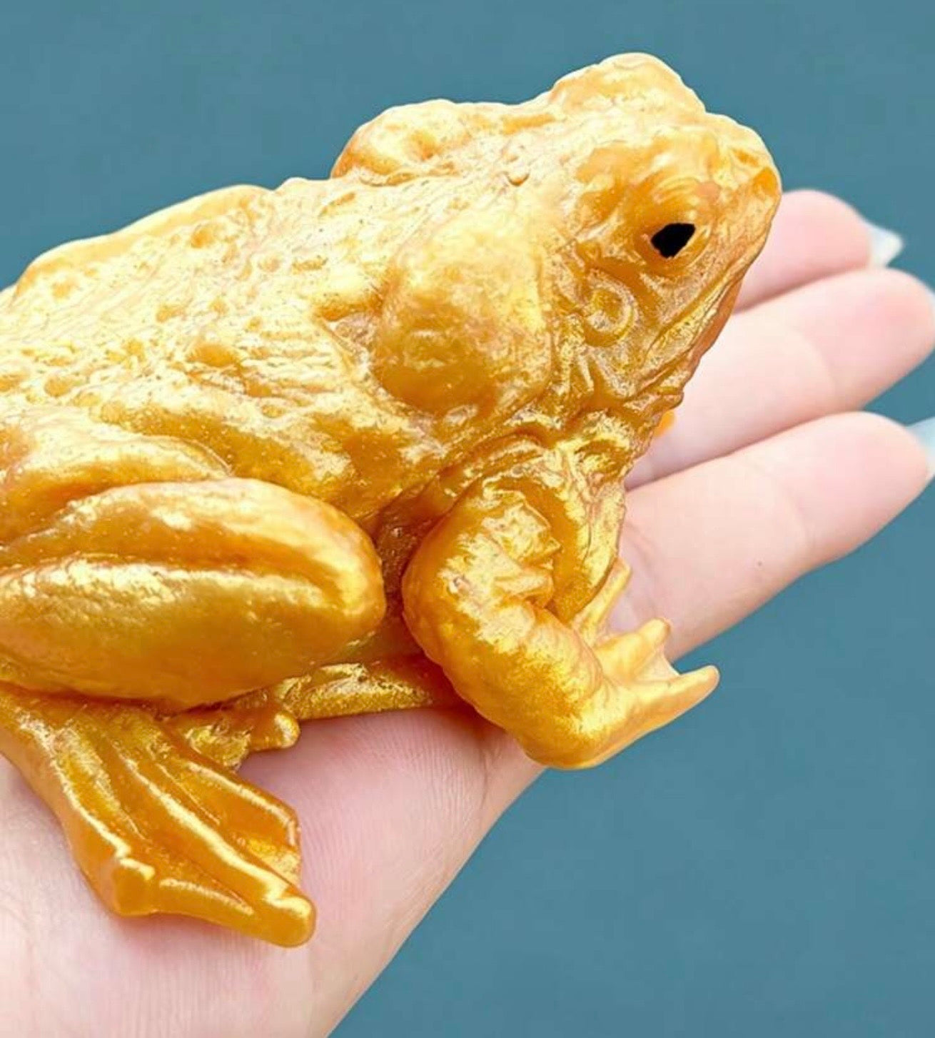 Realistic Toad Squishy Toy