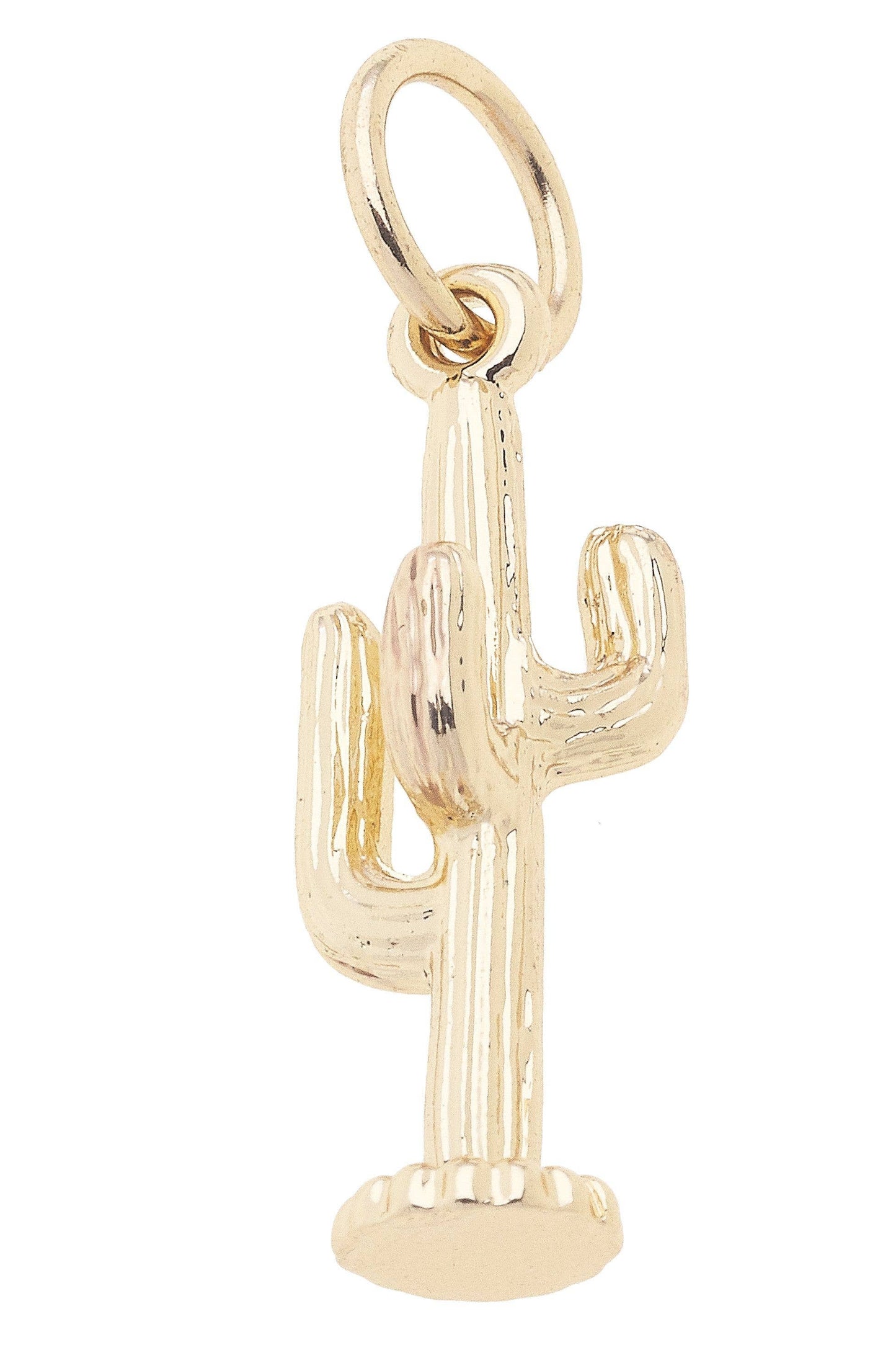 Golden Cactus Charm in Shiny Gold Canvas