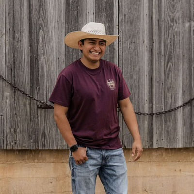 Horseshoe Maroon Burlebo Short Sleeve T Shirt SST-HORS-MAR