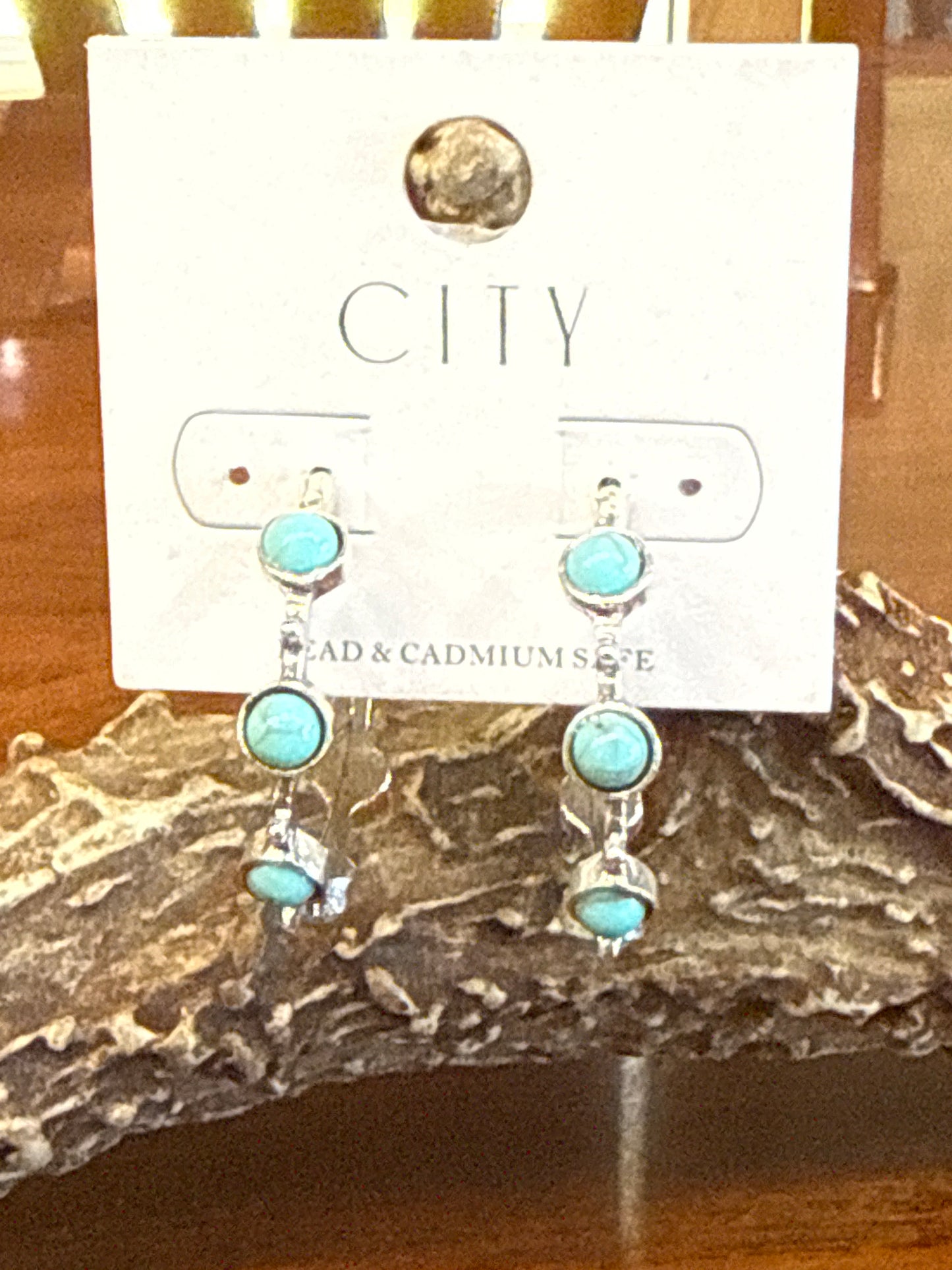 Turquoise City Hoop Earrings