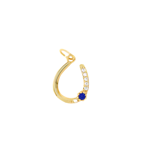 Lucky Charm Horseshoe ~ Blue Gem ~ Deep South Originals