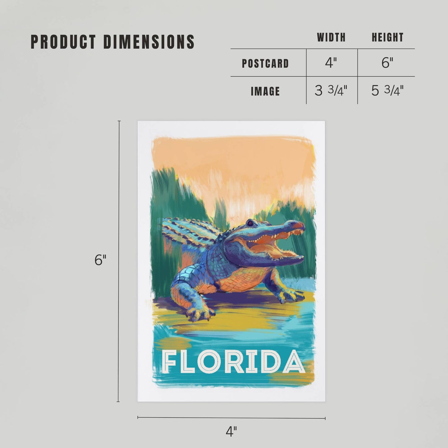 PREMIUM POSTCARDS Florida, Alligator, Vivid