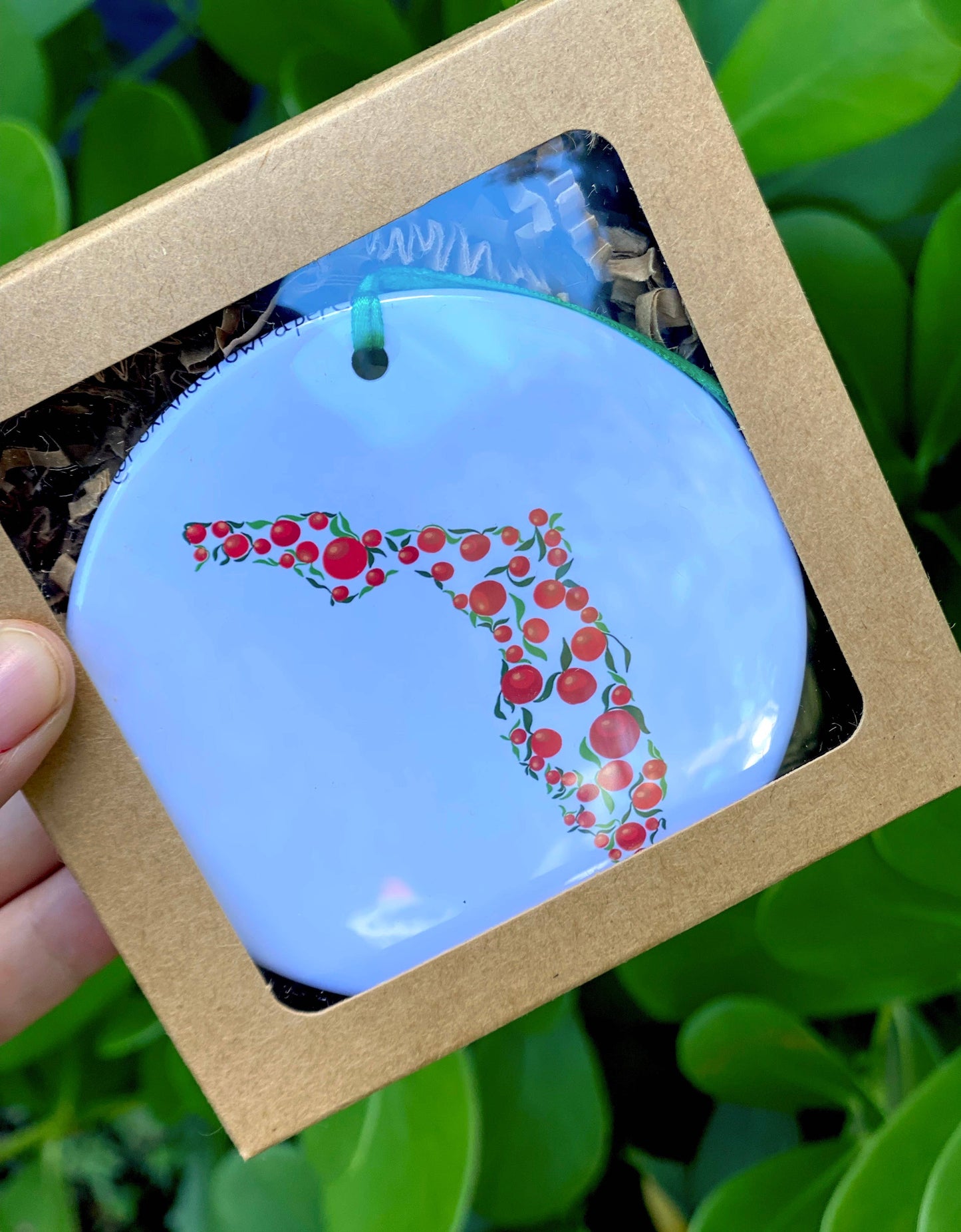 Florida Ornament / Ornament / Christmas Ornament Fox crow
