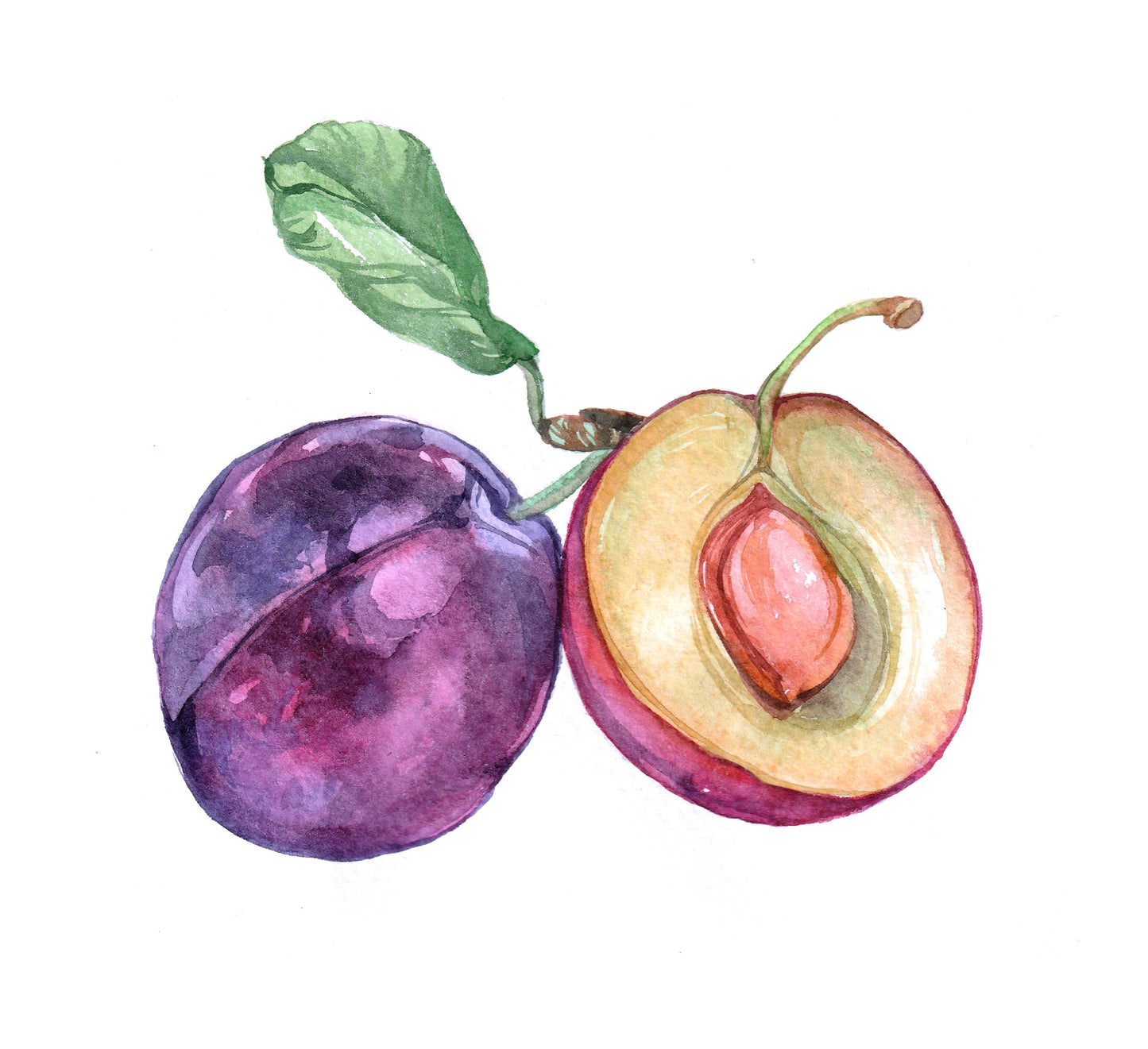 Prickly Pear Orchard Buds -7.3 oz in Mason Jar