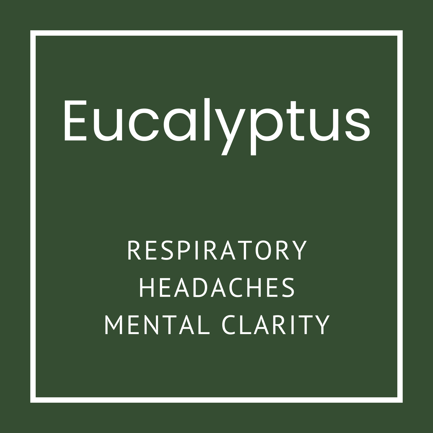 Eucalyptus Nasal Inhaler: oil shop