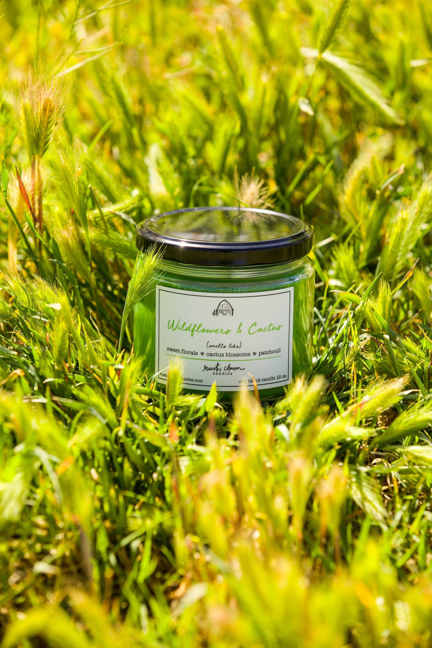 Wildflowers and Cactus 12 oz. Candle