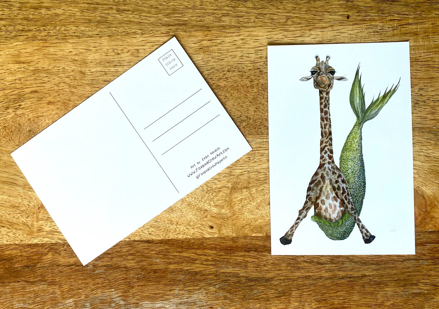 Florida Postcard Pack *  Whimsical FL Postcard * Mail Art