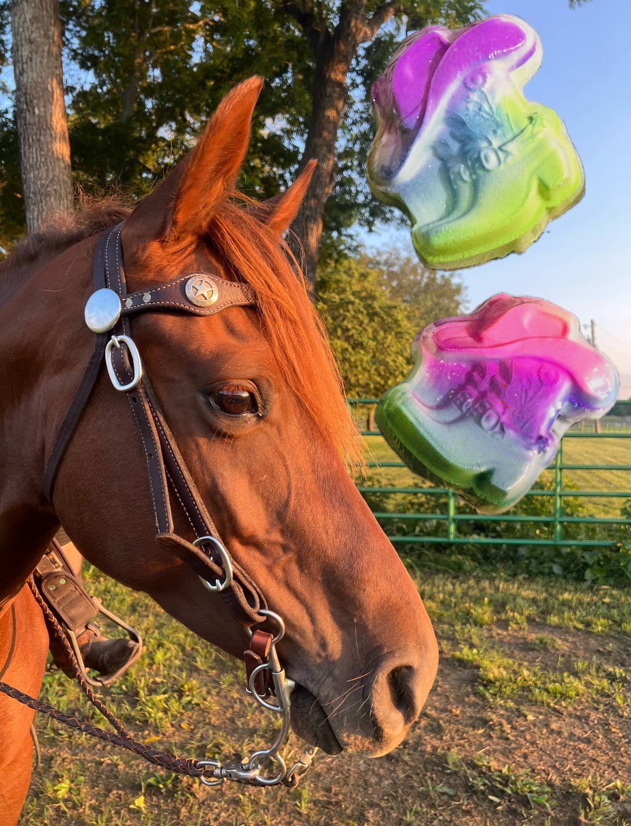 Southern Cowgirl Bath Bomb SF