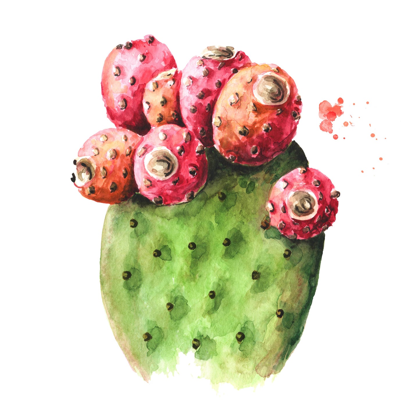 Prickly Pear Orchard Buds -7.3 oz in Mason Jar