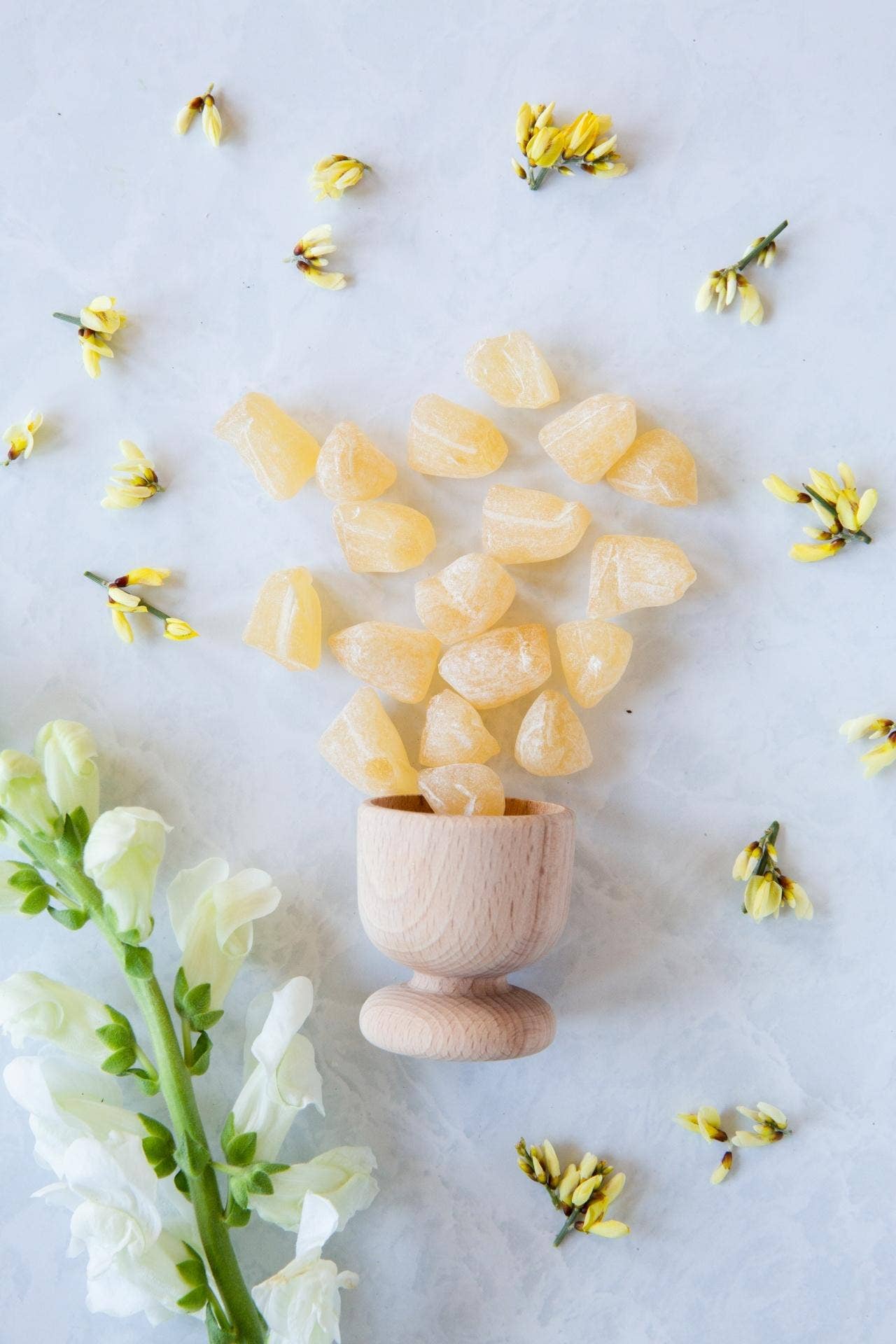 GINGER BUDS 2.5 OZ Hard Candy 100 year old Favorite